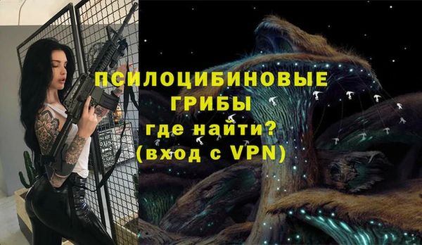 a pvp Алзамай