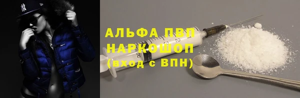 гидра Алексин