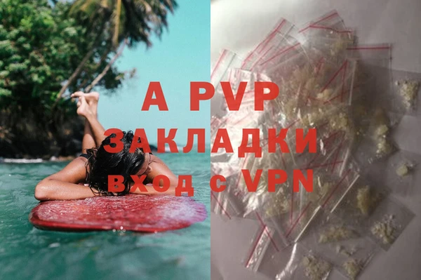 a pvp Алзамай
