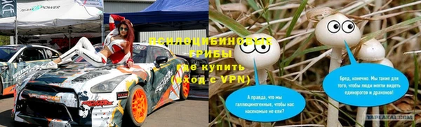 a pvp Алзамай