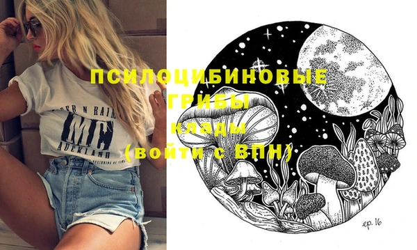 крисы Алексеевка