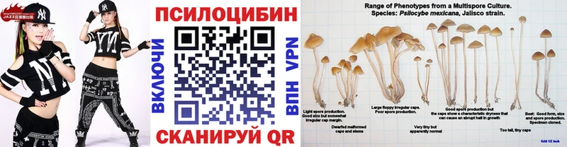 Галлюциногенные грибы MAGIC MUSHROOMS  Щигры 